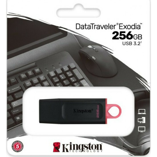 Kingston DataTraveler Exodia USB 3.2 256GB (DTX/256GB)